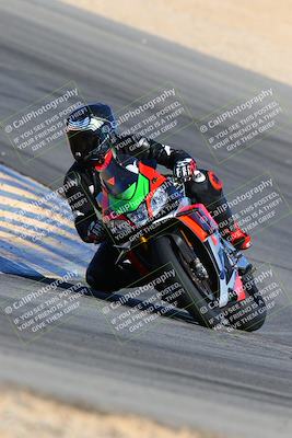 media/Feb-13-2022-SoCal Trackdays (Sun) [[c9210d39ca]]/Turn 10 (920am)/